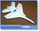 Profile Sukhoi Shock Flyer